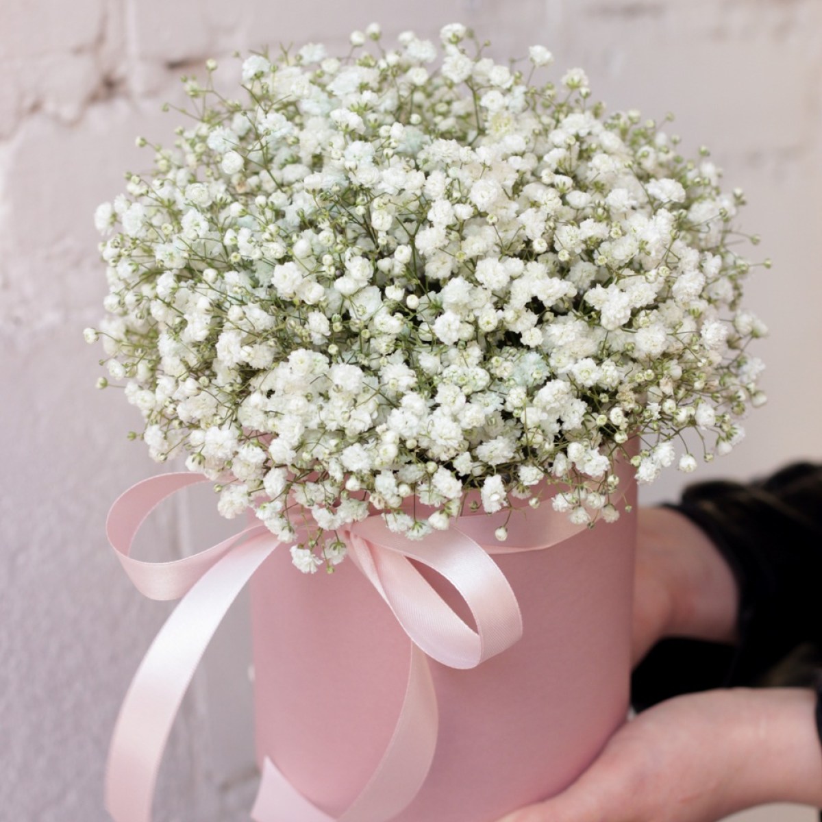 korobka s gipsofiloj 5